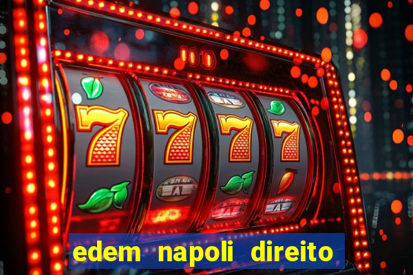 edem napoli direito constitucional pdf