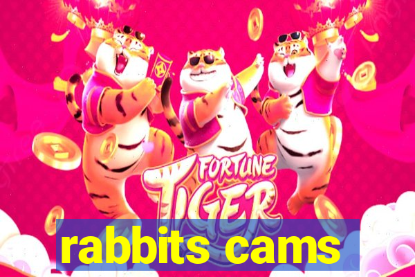 rabbits cams