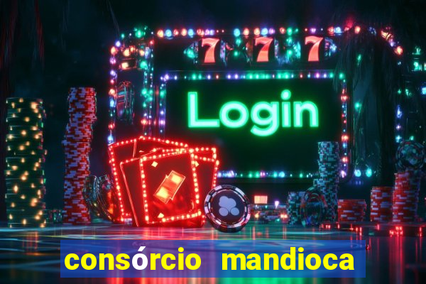 consórcio mandioca e milho