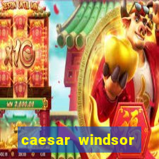 caesar windsor casino hotel