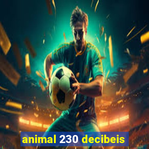 animal 230 decibeis