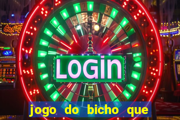 jogo do bicho que paga no pix