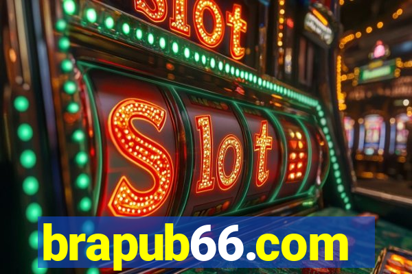 brapub66.com