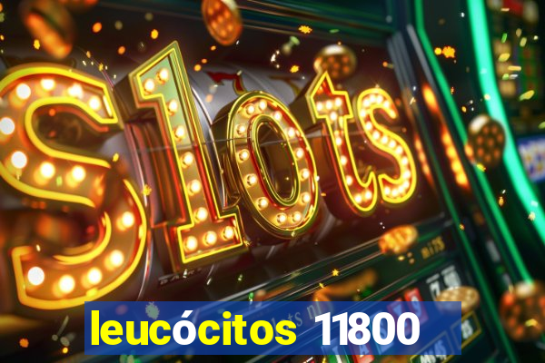 leucócitos 11800