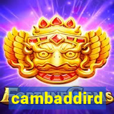 cambaddird