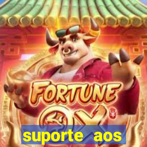 suporte aos clientes de jogos online