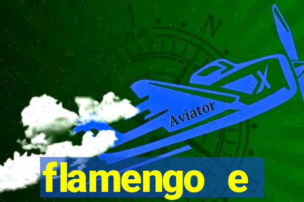 flamengo e palmeiras palpite