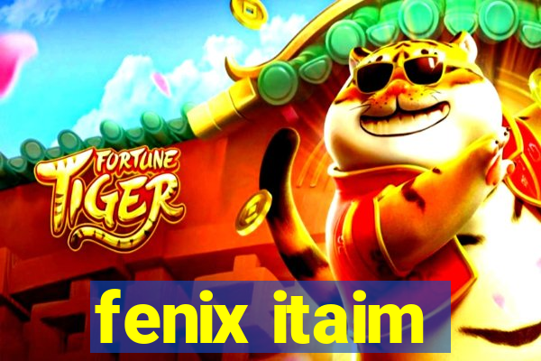 fenix itaim