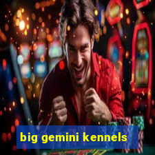 big gemini kennels