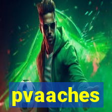 pvaaches