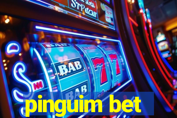 pinguim bet