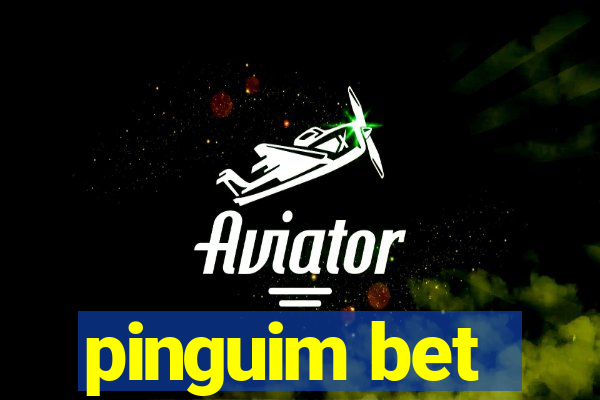 pinguim bet