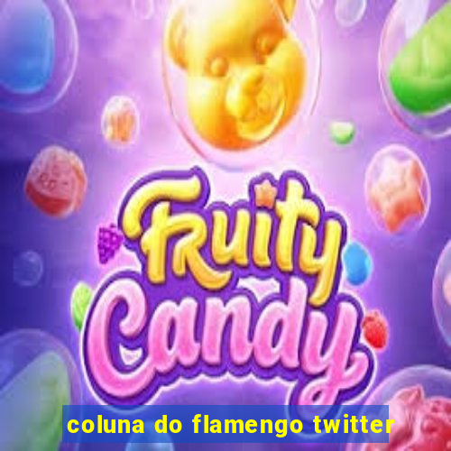 coluna do flamengo twitter