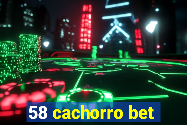 58 cachorro bet