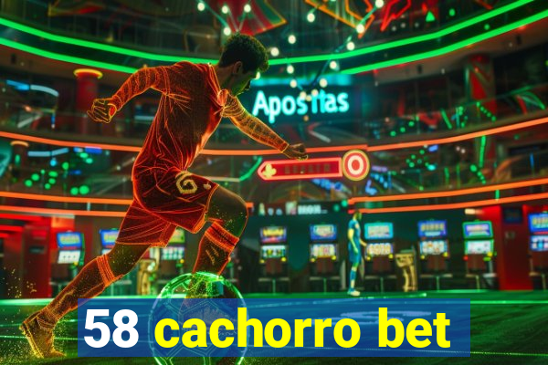 58 cachorro bet