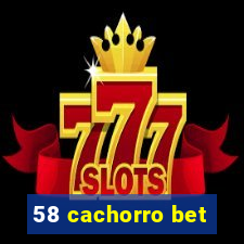 58 cachorro bet