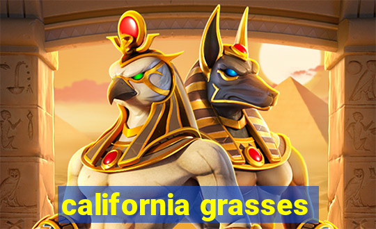 california grasses