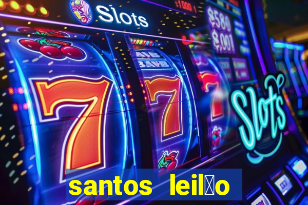 santos leil茫o passo fundo