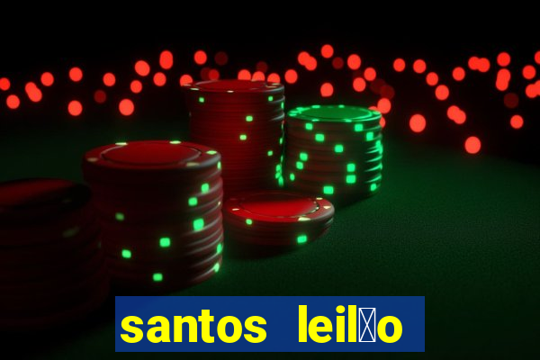 santos leil茫o passo fundo