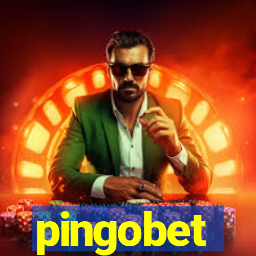 pingobet