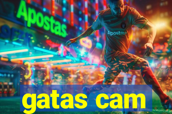 gatas cam