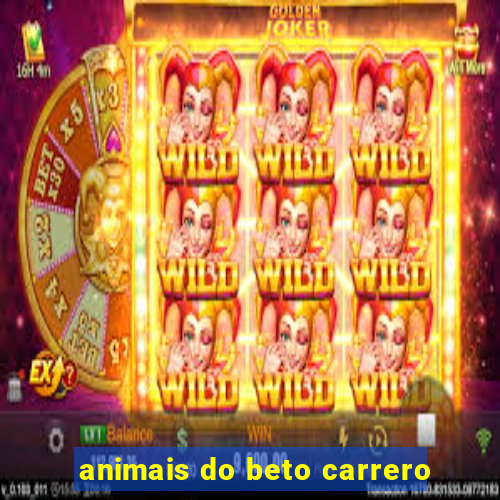 animais do beto carrero