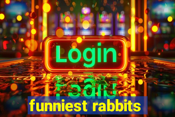 funniest rabbits