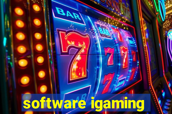 software igaming