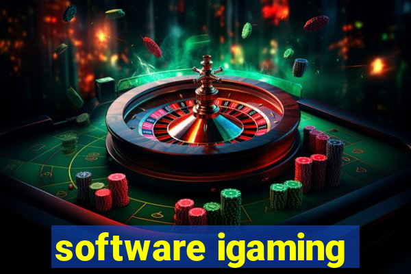 software igaming