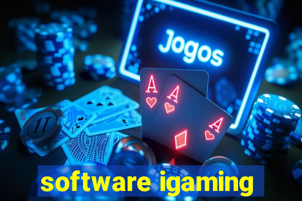 software igaming