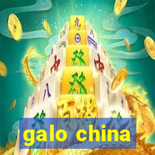 galo china