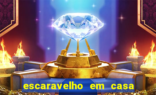 escaravelho em casa significado espiritual