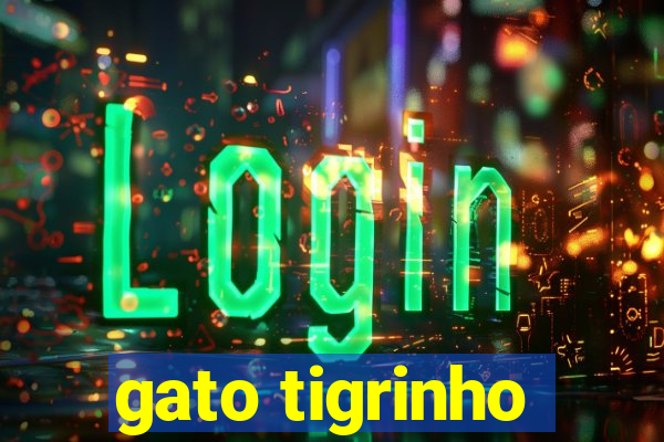 gato tigrinho