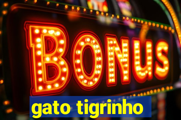 gato tigrinho