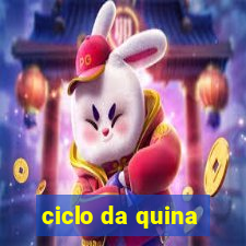 ciclo da quina