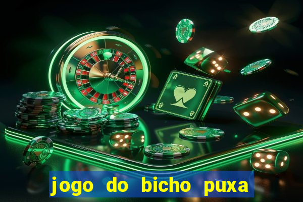 jogo do bicho puxa de dona maria