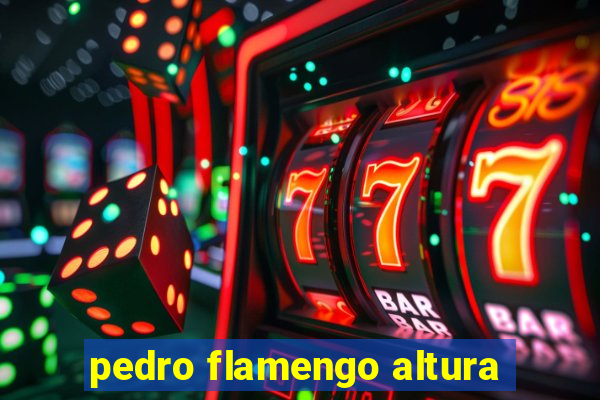 pedro flamengo altura