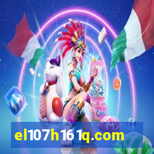 el107h161q.com