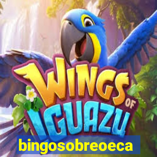 bingosobreoeca