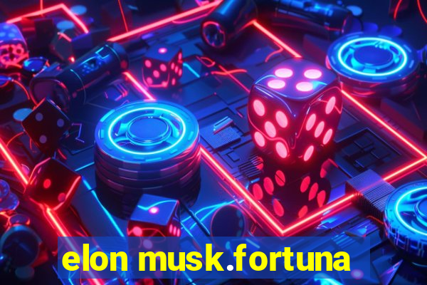 elon musk.fortuna