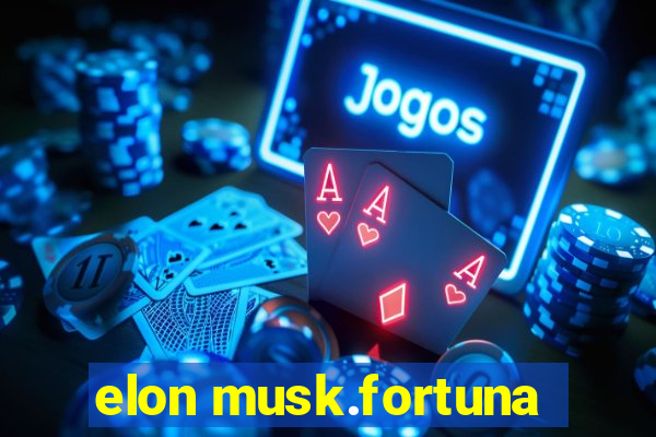 elon musk.fortuna