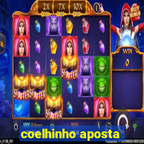 coelhinho aposta