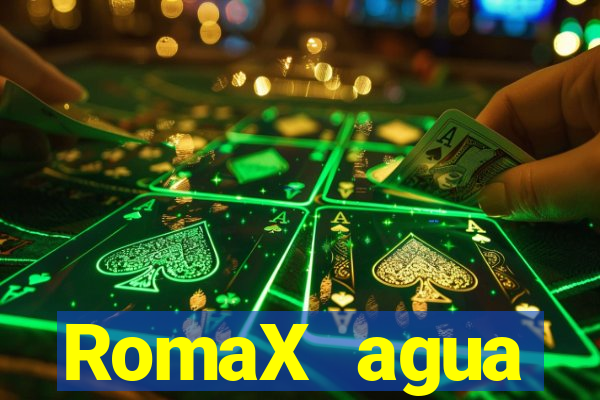 RomaX agua sanitaria fispq agua sanitaria romax