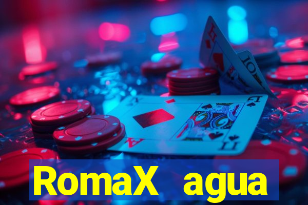 RomaX agua sanitaria fispq agua sanitaria romax