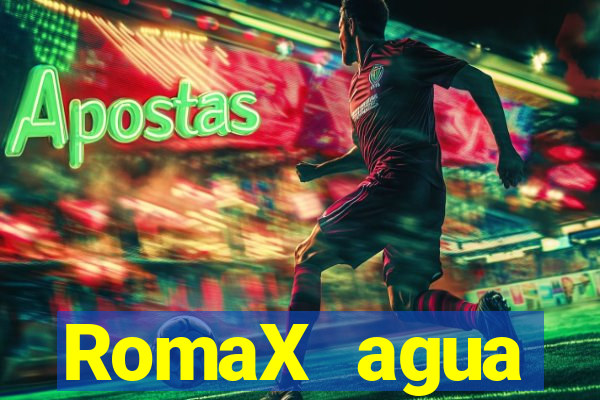 RomaX agua sanitaria fispq agua sanitaria romax