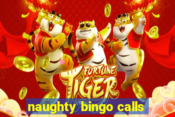 naughty bingo calls