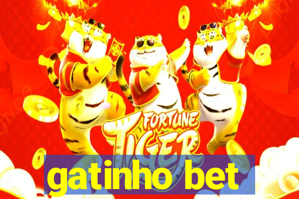 gatinho bet