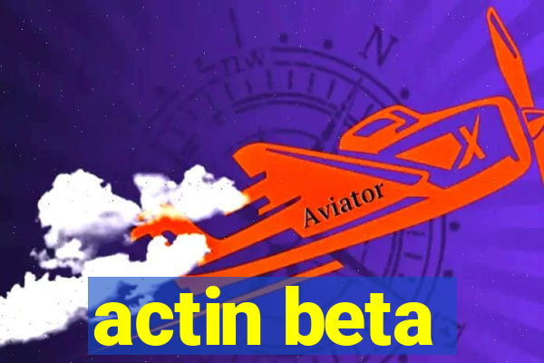 actin beta