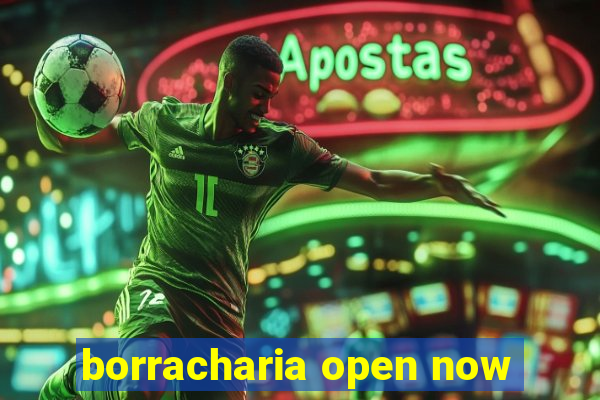 borracharia open now