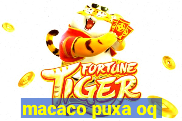 macaco puxa oq